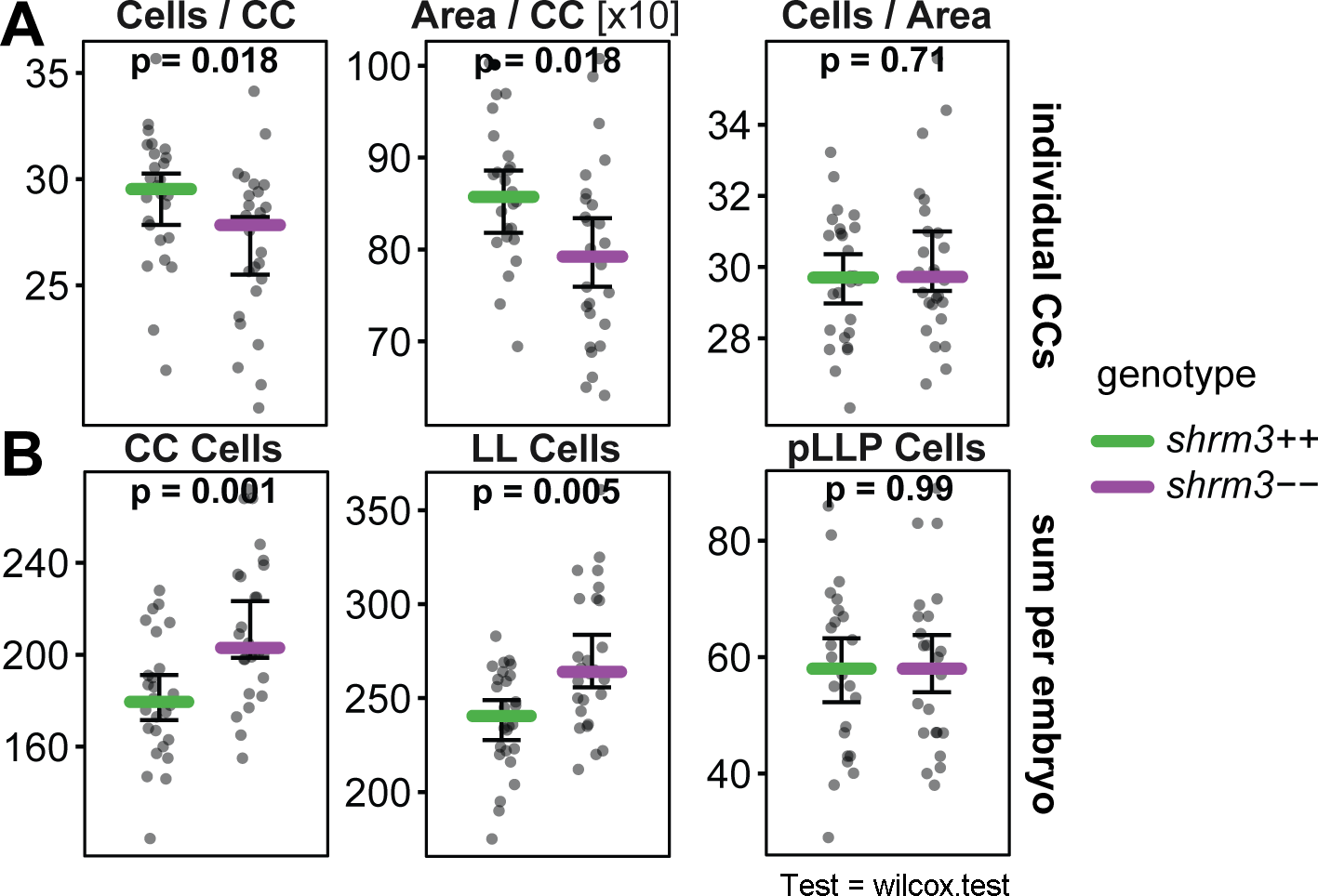 LL Morphometrics A individual CC statistics B Sums per embryo. (Bars = median, errorbars = 95% CI)