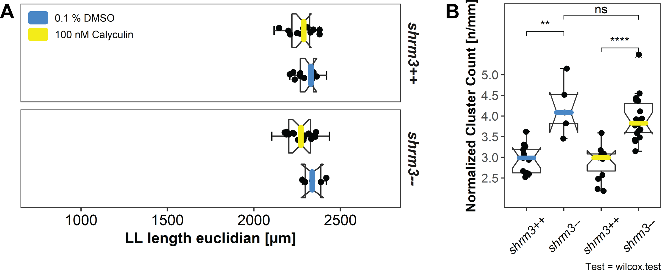NMII activation. A LL lengths and B groupwise comparison of the length normalized cluster count.