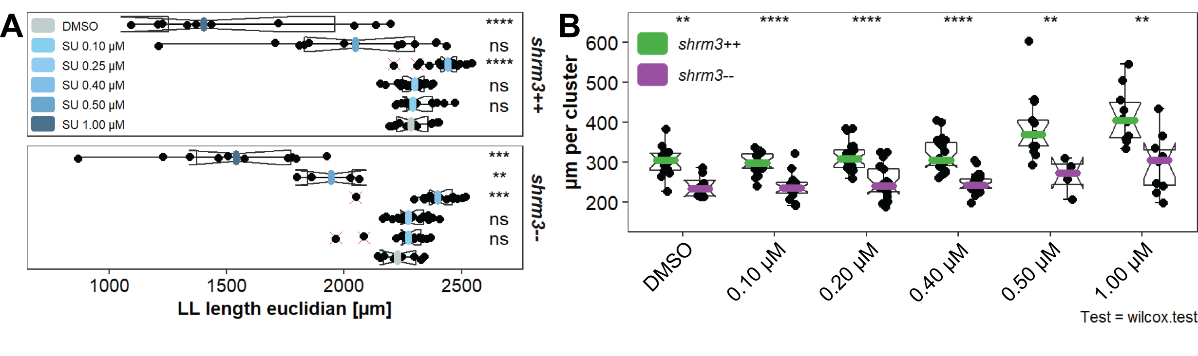 Titration of FGF inhibitor. A LL lengths are reduced with increased concentrations of FGF inhibitor and B groupwise comparison of the length normalized cluster count per concentration of FGF inhibitor.
