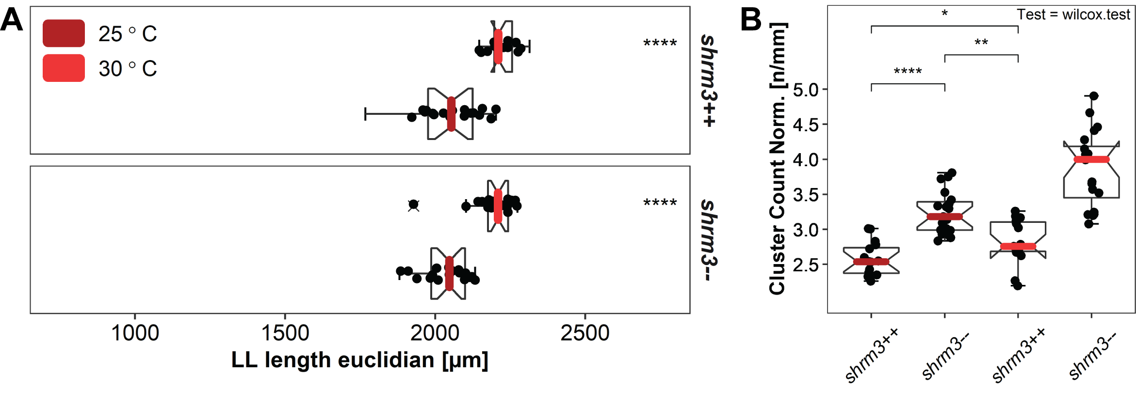 Temperature rescue A LL lengths and end of migration stage matching B groupwise comparison of the length normalized CC count per temperature.